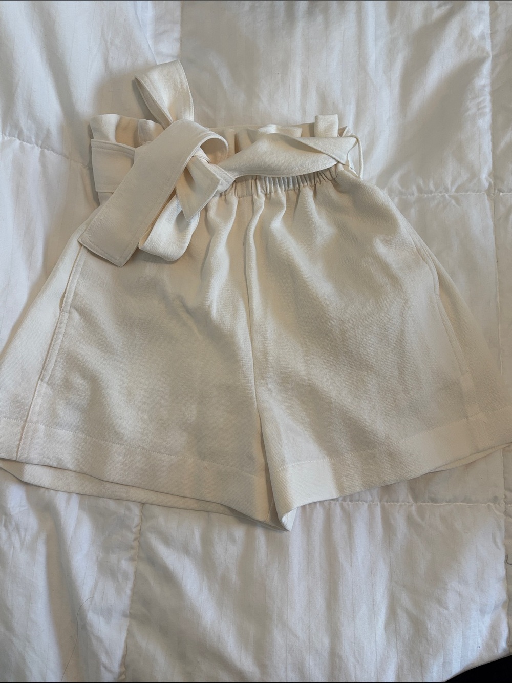 Aritzia Wilfred Paper Bag Shorts High-Waist with Tie Belt